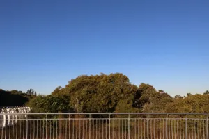 2025-06-21 Bartons Park - IMG_2570_compressed_q50.webp